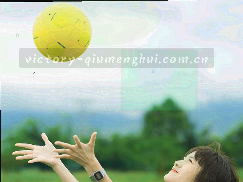 排名板与数字格栅局部特写